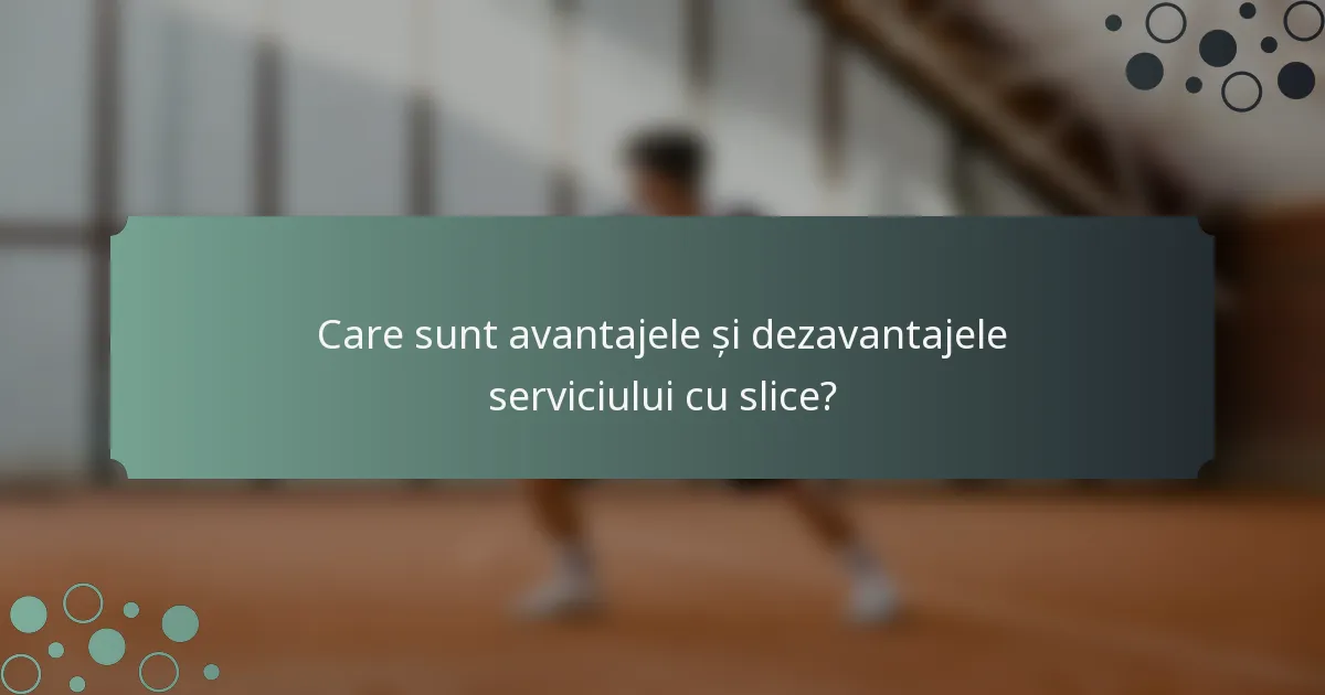 Care sunt avantajele și dezavantajele serviciului cu slice?