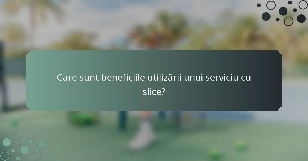 Care sunt beneficiile utilizării unui serviciu cu slice?