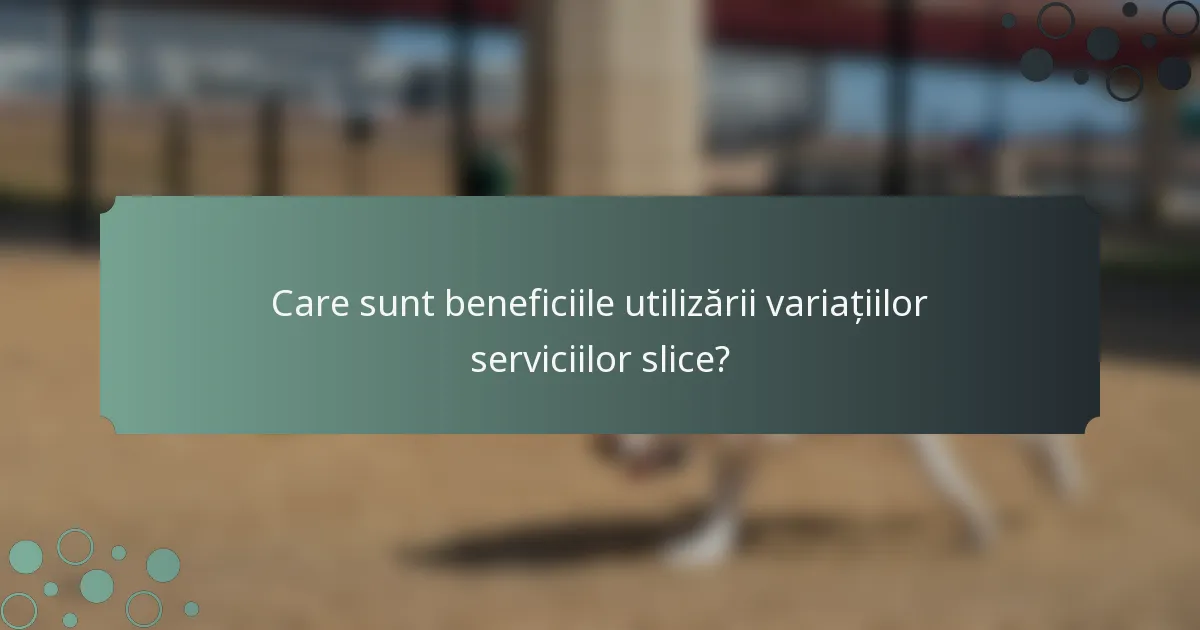Care sunt beneficiile utilizării variațiilor serviciilor slice?