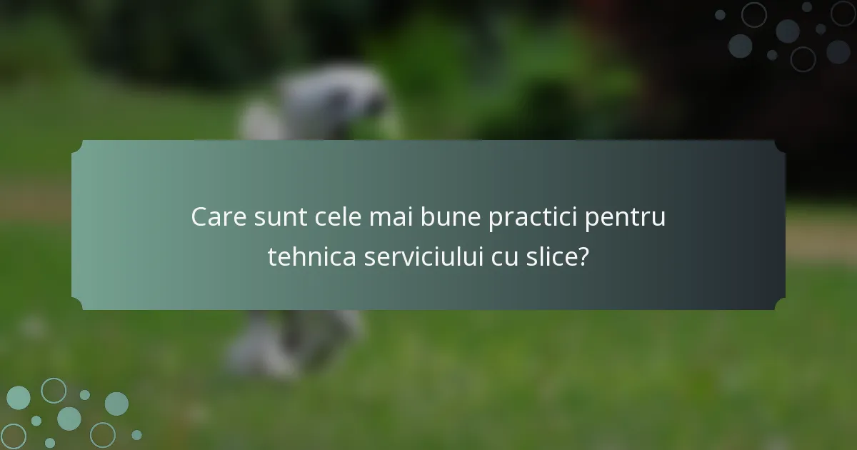 Care sunt cele mai bune practici pentru tehnica serviciului cu slice?