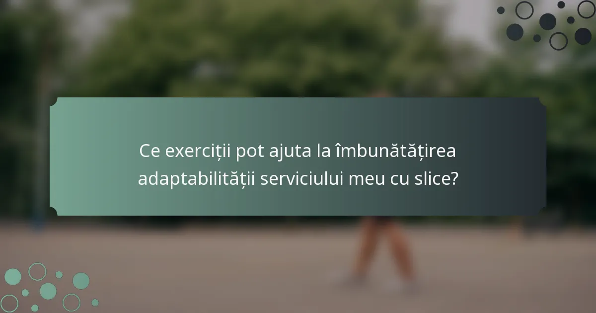 Ce exerciții pot ajuta la îmbunătățirea adaptabilității serviciului meu cu slice?