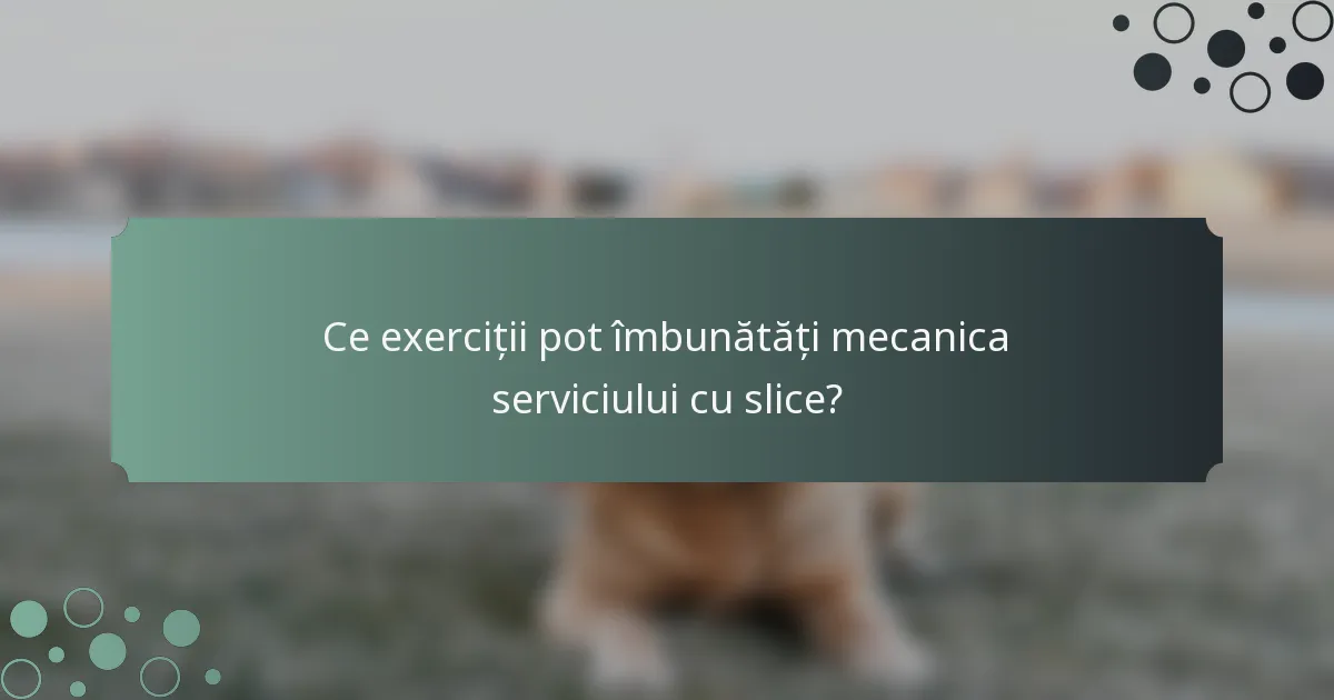 Ce exerciții pot îmbunătăți mecanica serviciului cu slice?