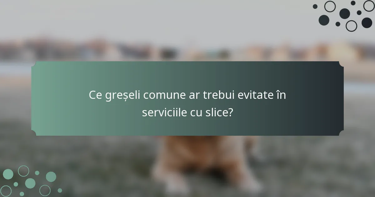 Ce greșeli comune ar trebui evitate în serviciile cu slice?