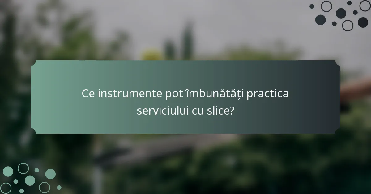 Ce instrumente pot îmbunătăți practica serviciului cu slice?