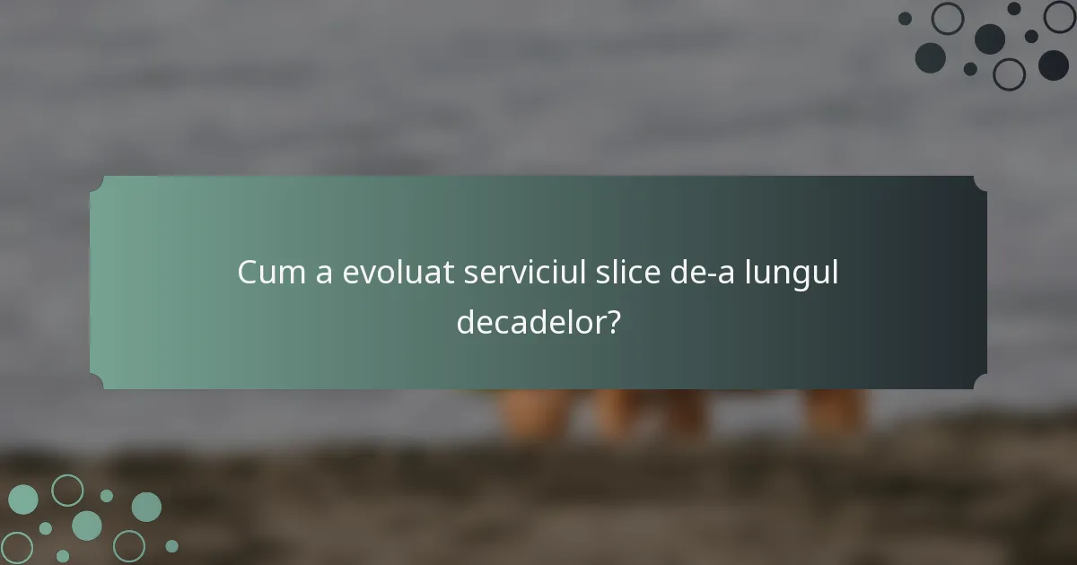 Cum a evoluat serviciul slice de-a lungul decadelor?