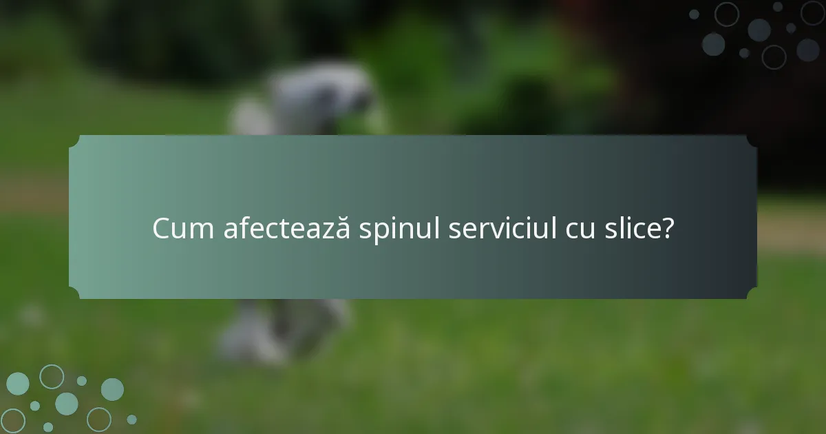 Cum afectează spinul serviciul cu slice?