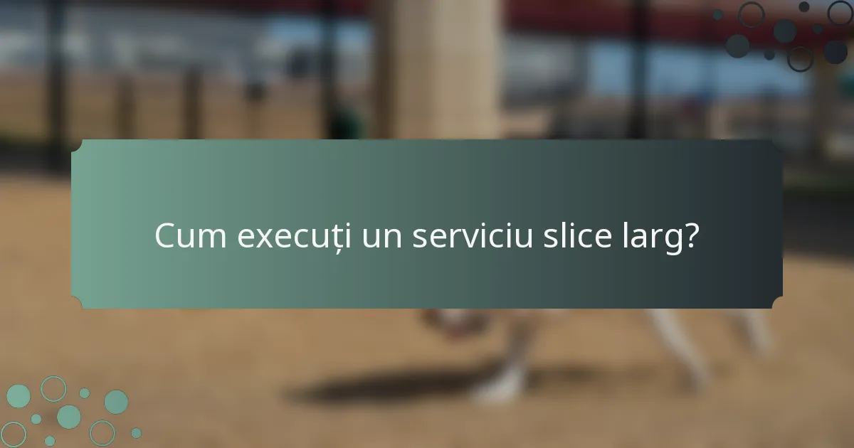 Cum execuți un serviciu slice larg?