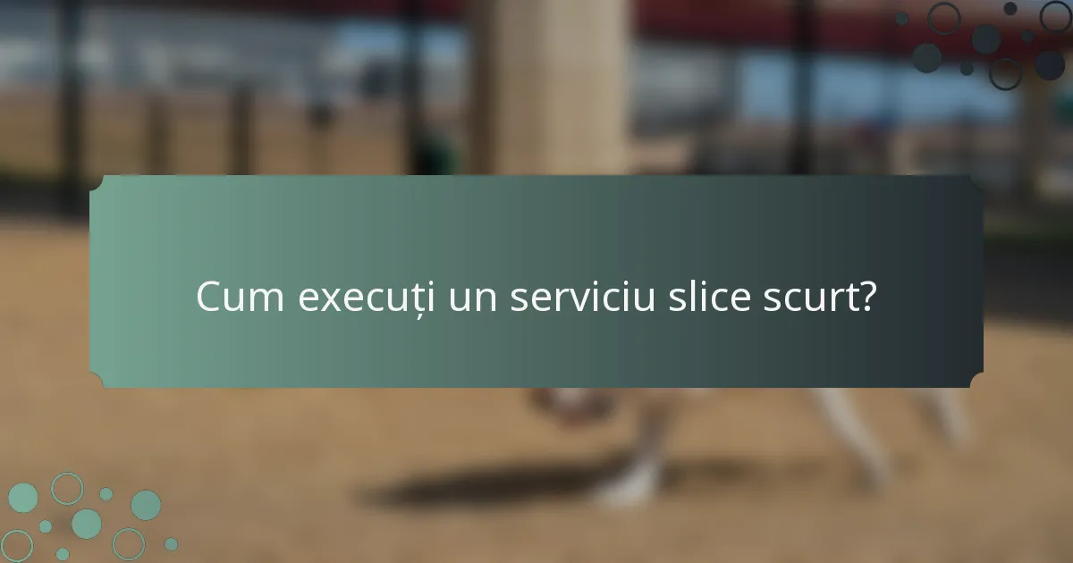 Cum execuți un serviciu slice scurt?