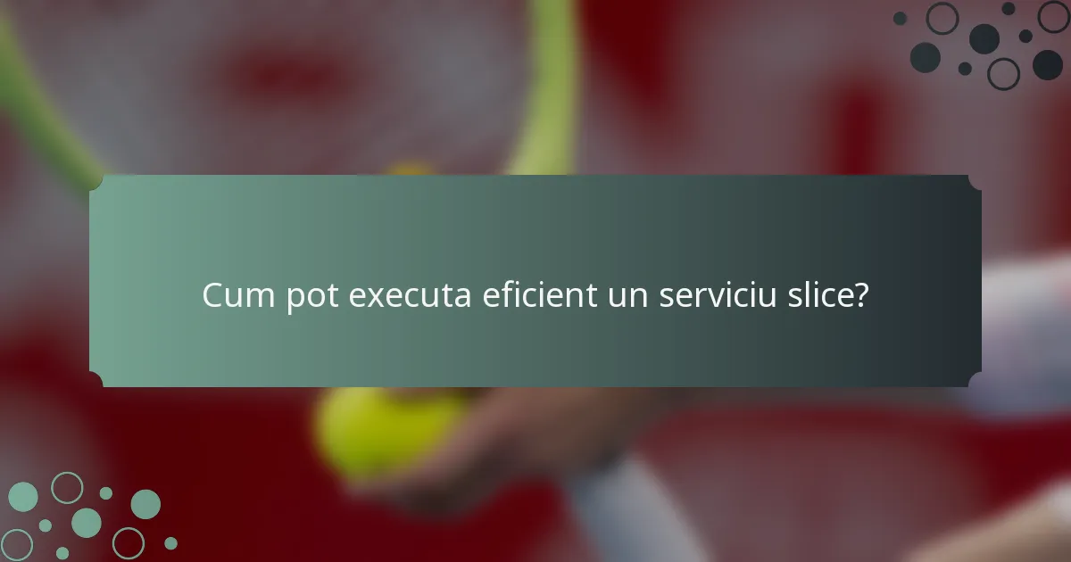 Cum pot executa eficient un serviciu slice?