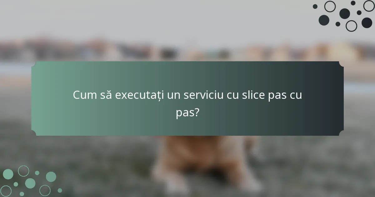Cum să executați un serviciu cu slice pas cu pas?