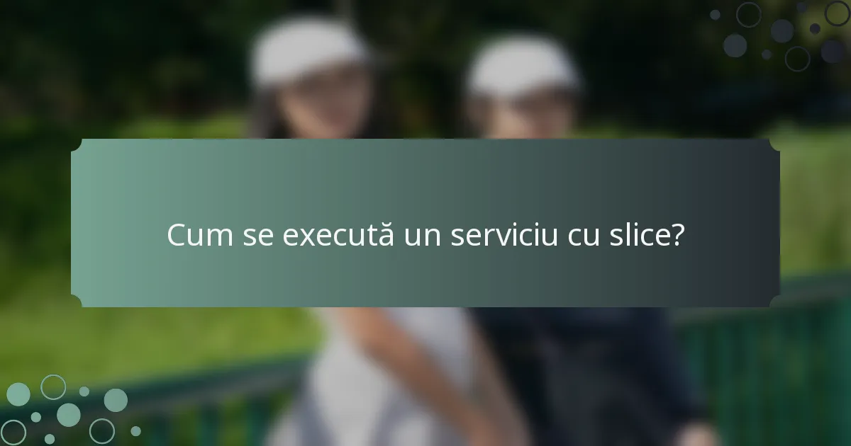 Cum se execută un serviciu cu slice?